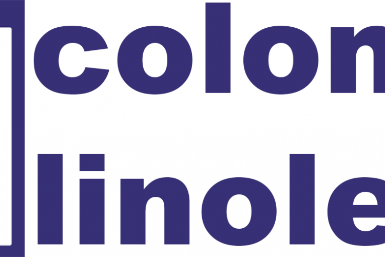 Linoleum e PVC: Quale Scegliere nel 2025 per un Ambiente Sostenibile