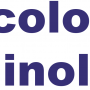 Linoleum e PVC: Quale Scegliere nel 2025 per un Ambiente Sostenibile
