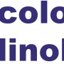 Colombo Linoleum: Pavimentazioni Sportive di Qualità Superiore